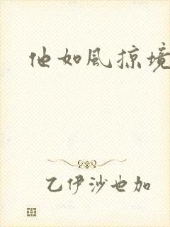 他如风掠境