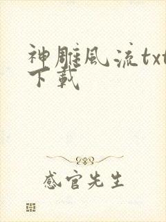 神雕风流txt下载