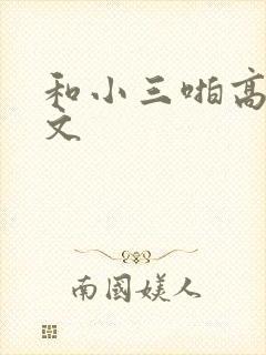 和小三啪高辣h文封面