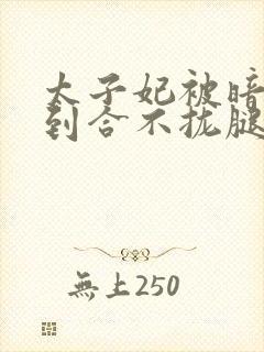 太子妃被暗卫C到合不拢腿