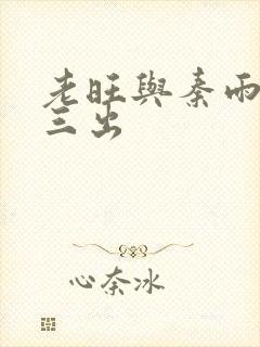 老旺与秦雨三进三出