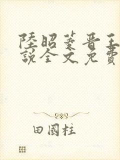 陆昭菱晋王的小说全文免费阅读