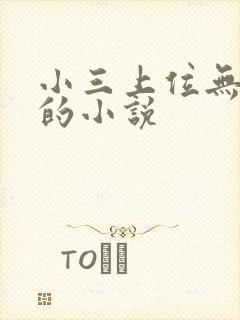 小三上位无三观的小说