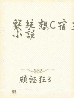 系统想C宿主的小说