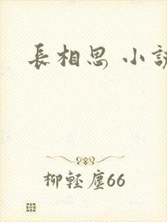 长相思 小说封面