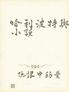 哈利波特与密室小说