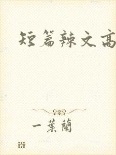 短篇辣文高h封面