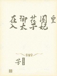 在御花园皇上进入太子妃封面