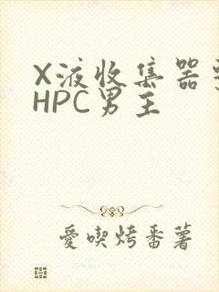 X液收集器系统HPC男主