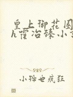 皇上御花园hlh霍冶臻小说