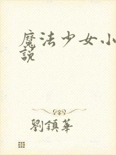 魔法少女小圆小说
