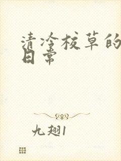 清冷校草的抹布日常