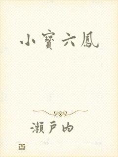 小宝六凤