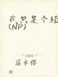 我只是个经纪人(NP)