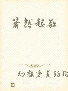 萧然起敬封面