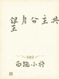 银月公主共享公主