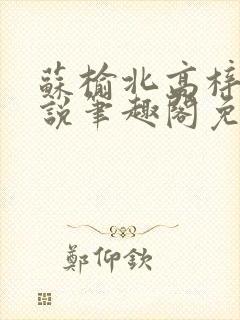 苏榆北高梓淇小说笔趣阁免费阅读封面