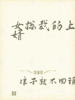 女总裁的上门女婿