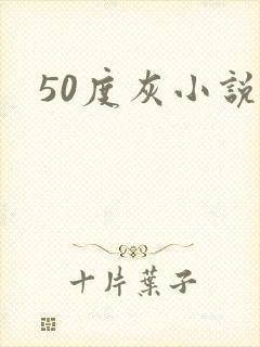 50度灰小说