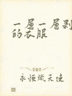 一层一层剥开我的衣服