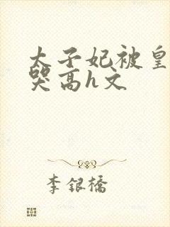 太子妃被皇上c哭高h文