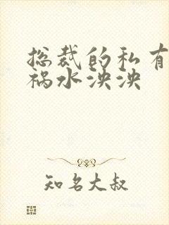 总裁的私有宝贝祸水泱泱