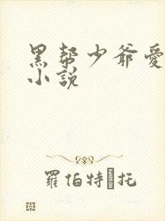 黑帮少爷爱上我小说封面
