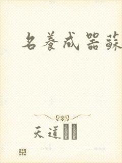 名养成器苏沫沫封面