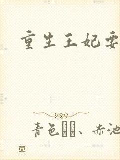 重生王妃要和离