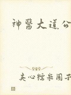 神医大道公2封面