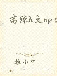 高辣h文np爽