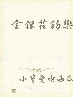金银花的乐可封面