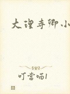 大理寺卿小说封面