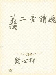 第二章销魂的交换