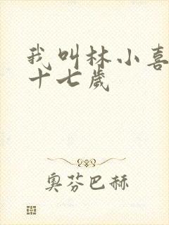 我叫林小喜今年十七岁