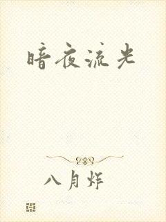 暗夜流光