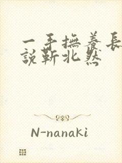 一手抚养长大小说靳北然封面