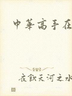 中华高手在异世