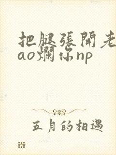 把腿张开老子cao烂你np