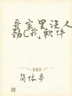 哥家里没人使点劲C我软件