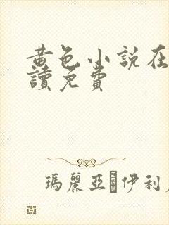 黄色小说在线阅读免费