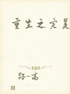 重生之完美一生