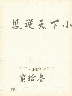 凤逆天下小说封面