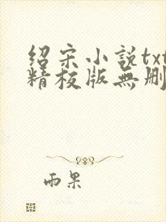 绍宋小说txt精校版无删减