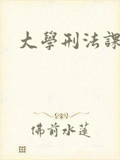 大学刑法课