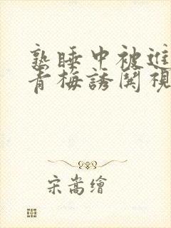 熟睡中被进了H青梅诱哄视频