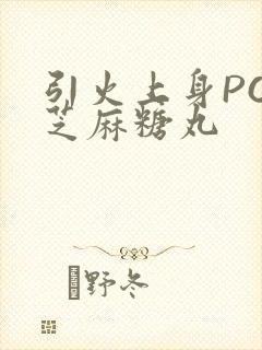 引火上身POP芝麻糖丸