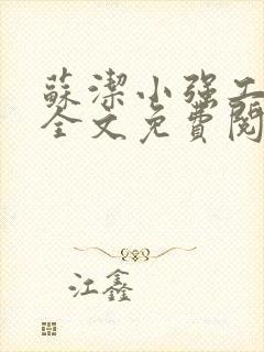 苏洁小强工地情全文免费阅读