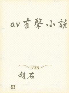 av有声小说