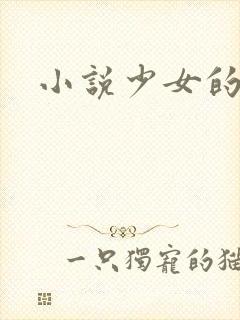小说少女的心